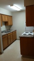 209 Kitchen 1-16-17.jpg